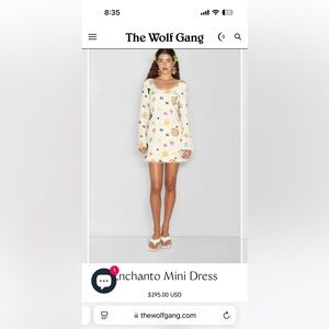 Enchanto dress by the wolf gang. NWT